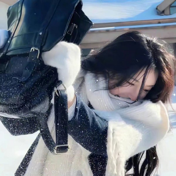 我的新野蛮女友